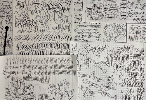 svolazzi&schifi.jpg (2.37 MiB) Visto 2589 volte Divertente, quando le penne rispondono bene...