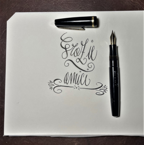 IMG_4237.jpeg (871.85 KiB) Visto 5368 volte Tabo V, ink Pilot Tsuwairo nero.