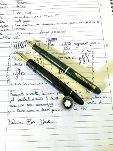 pelikan-140-2.jpg