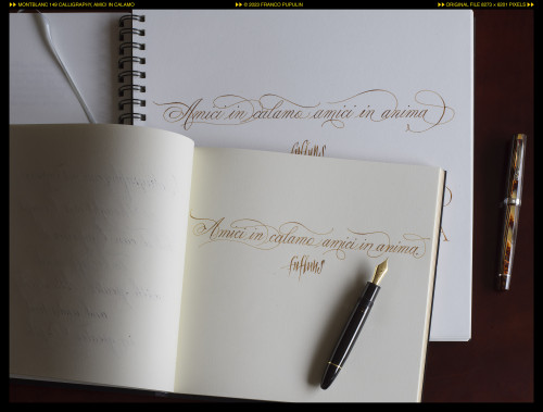 Montblanc 149 Calligraphy, Amici in calamo (2) ©FP.jpg