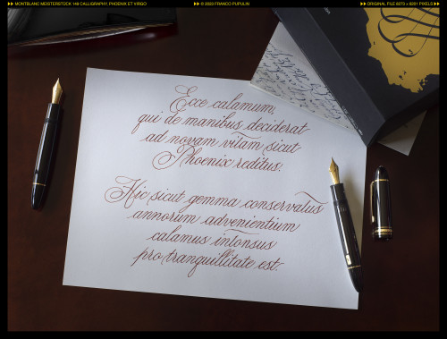 Montblanc 149 Calligraphy, Phoenix et Virgo.jpg