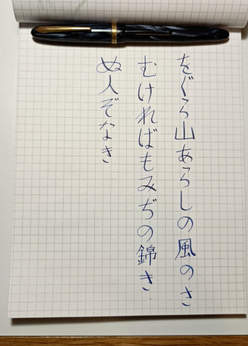 IMG_20240408_212736.jpg (1.16 MiB) Visto 5072 volte La carta è Rhodia, l'inchiostro è il Waterman Serenity Blue.