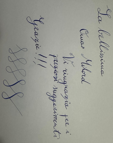 Immagine WhatsApp 2024-07-09 ore 00.36.14_f700b88a.jpg
