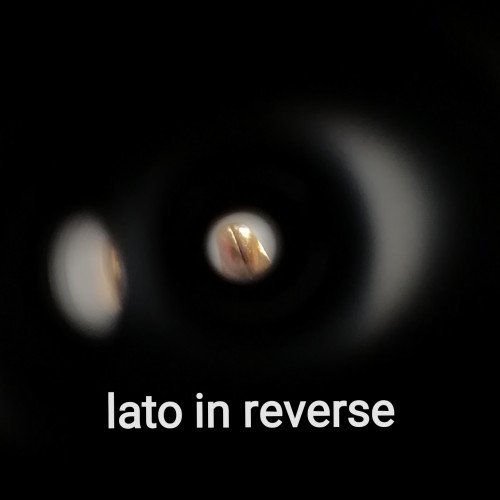 IMG_20240920_195017.jpg (184.54 KiB) Visto 5332 volte punta - lato in reverse