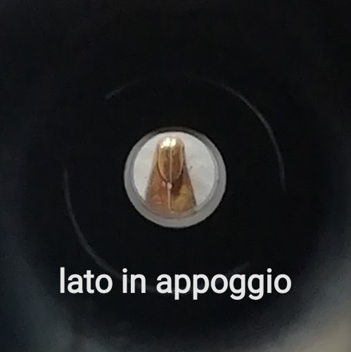 IMG_20240920_194751.jpg (353.21 KiB) Visto 5332 volte punta - lato in appoggio