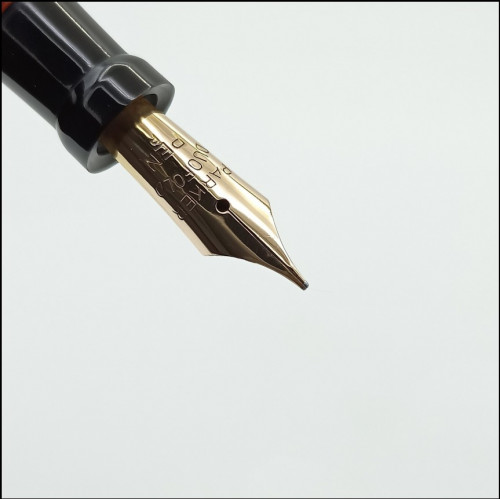 Immagine 2024-12-20 093308.jpg (60.9 KiB) Visto 8471 volte Pennino in oro 14Kt