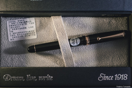 71 - Pilot Custom 74 (SFM) (4).jpg (1.83 MiB) Visto 9990 volte Pilot