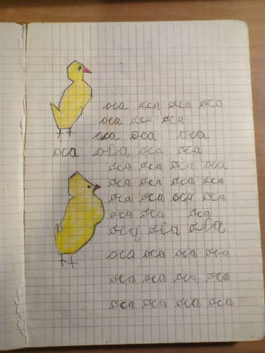 IMG_20250127_223254.jpg (1.01 MiB) Visto 6552 volte Primo giorno di scuola (1969)