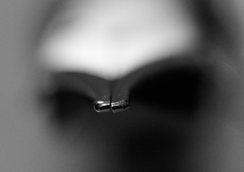 20250319_220352__DSC5612.JPG