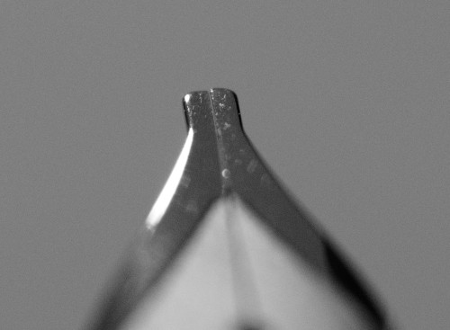 20250319_220435__DSC5613.JPG