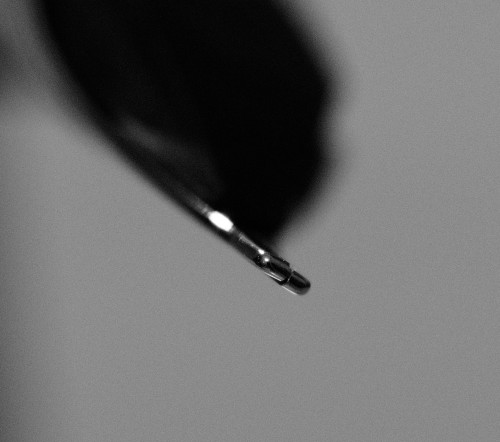 20250319_220931__DSC5619.JPG