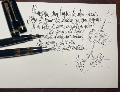 IMG_6582.jpg (1.46 MiB) Visto 7772 volte L'inchiostro è l'Eel black della Noodler. La carta la pessima Wearingeul Blank.