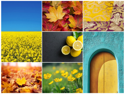 InCollage_20250806_212938301.jpg (5.71 MiB) Visto 3770 volte Quale sei?