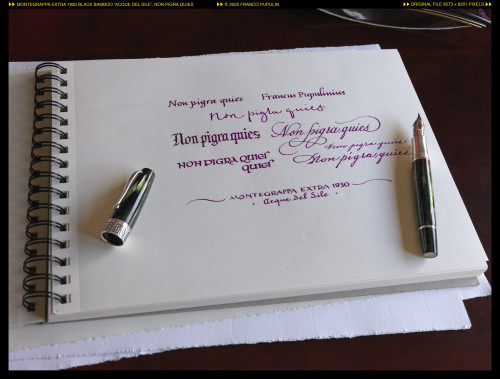 Montegrappa Extra 1930, Non pigra quies ©FP.jpg