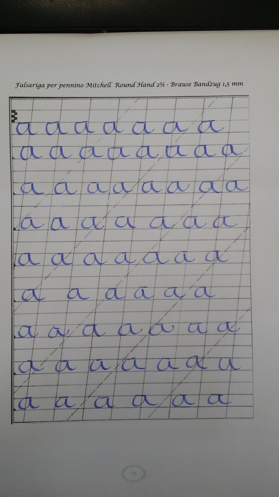 2014-09-11 12.38.24.jpg