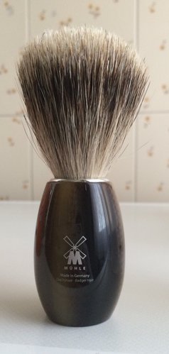 image.jpeg (280.71 KiB) Visto 4053 volte Pennello Muhle in tasso