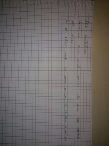 IMG_20161008_223903.jpg (1.6 MiB) Visto 4122 volte Lento