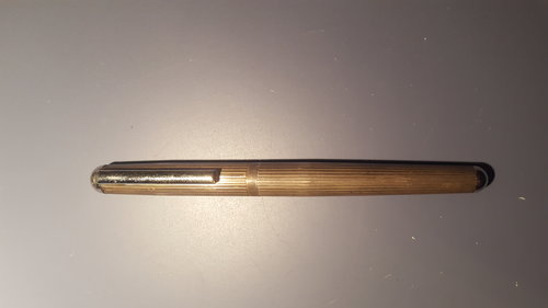 20171108_193335.jpg (3.71 MiB) Visto 2460 volte Penna ignota