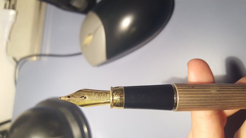 20171108_193414.jpg (2.82 MiB) Visto 2460 volte Penna ignota