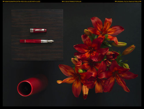 Montegrappa Extra red celluloid with lilies (1).jpg