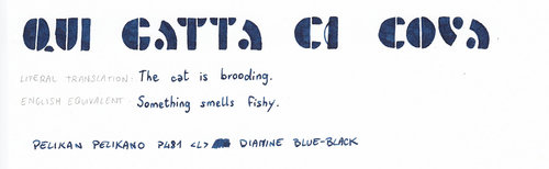 Diamine Blue-Black Proverbio Gatta Ci Cova.jpg