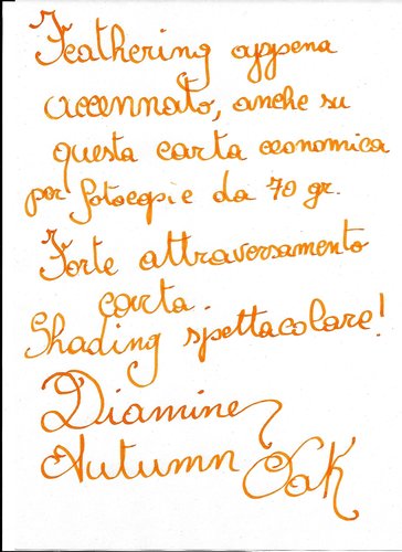 Diamine Autumn Oak 1.jpg (404.86 KiB) Visto 2476 volte Prova con pennino stub 1.9 mm, su carta da fotocopie 75 gr riciclata