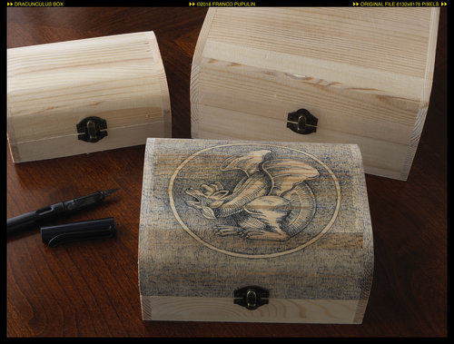 Dracunculus box (1) ©FP.jpg