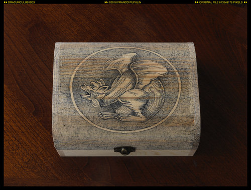 Dracunculus box (4) ©FP.jpg