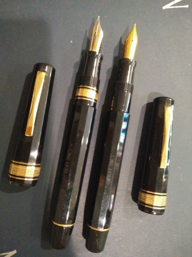 IMG_20190320_103115.jpg (4.37 MiB) Visto 1007 volte Quindi scusa tra queste quella con il pennino bicolore e la doppia greca è una Paragone , mentre l'altra è una Gentlemen?