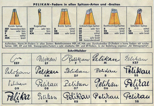 pelikan nibsizes.jpg