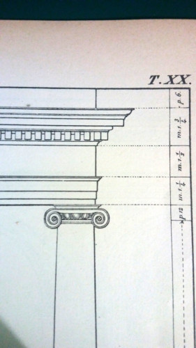 Proporzioni_ordine_ionico.jpg