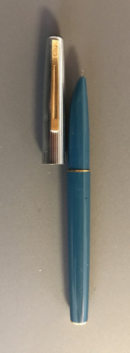 Waterman x pen