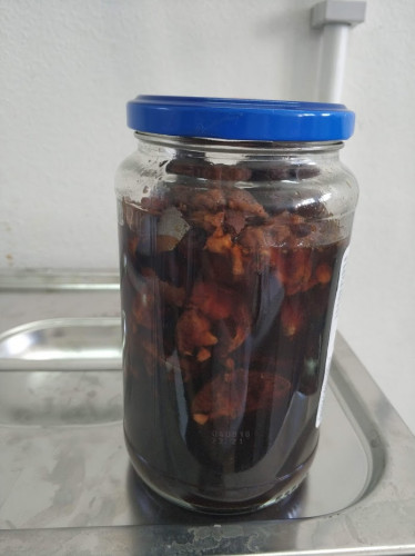 dopo 1 ora di infusione delle galle..