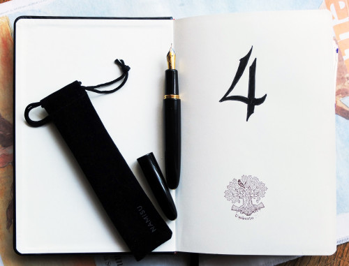 Namisu Horizon.JPG (4.23 MiB) Visto 3315 volte Namisu Horizon Ebonite