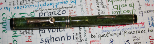 image.jpg (625.61 KiB) Visto 2369 volte Wahl Pen Jafe Green + Pelikan 4001 nero