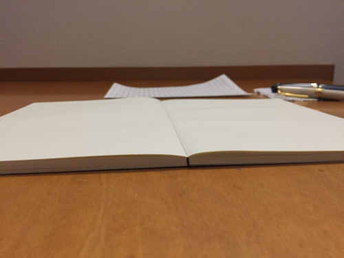 Aperto.JPG (1.23 MiB) Visto 2103 volte Aperto