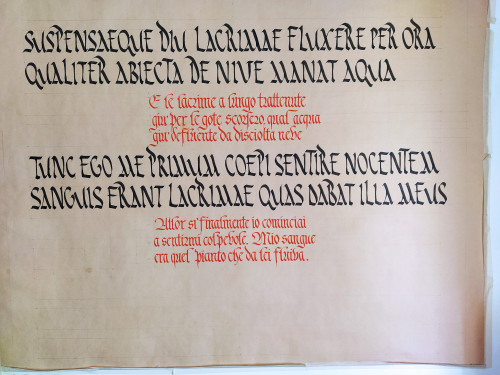 prova_ru_fr.jpg (5.61 MiB) Visto 9370 volte prova_ru_fr.jpg