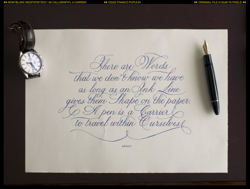 Montblanc Meisterstück 149 Calligraphy, a Carrier ©FP.jpg