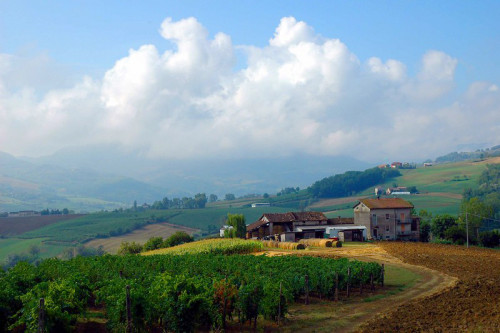 val Tidone, verso Pianello