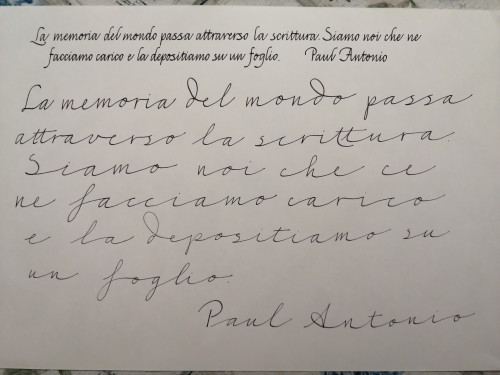 IMG_20210318_202156.jpg (3.36 MiB) Visto 2124 volte Lamy Safari pennino 1,1