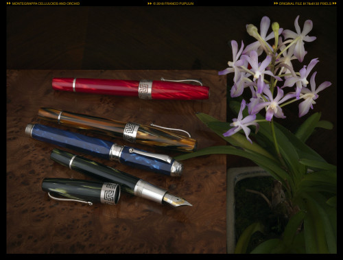 Montegrappa celluloids and orchid (1) ©FP.jpg