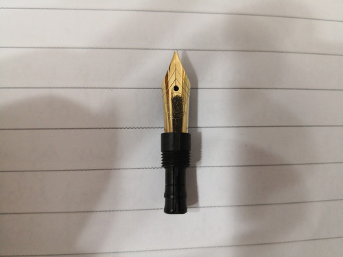 IMG_20210528_230327.jpg (2.24 MiB) Visto 1783 volte Dettaglio del pennino.