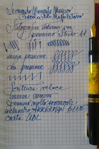 20210804_120218-1.jpg (1.17 MiB) Visto 316 volte 20210804_120218-1.jpg