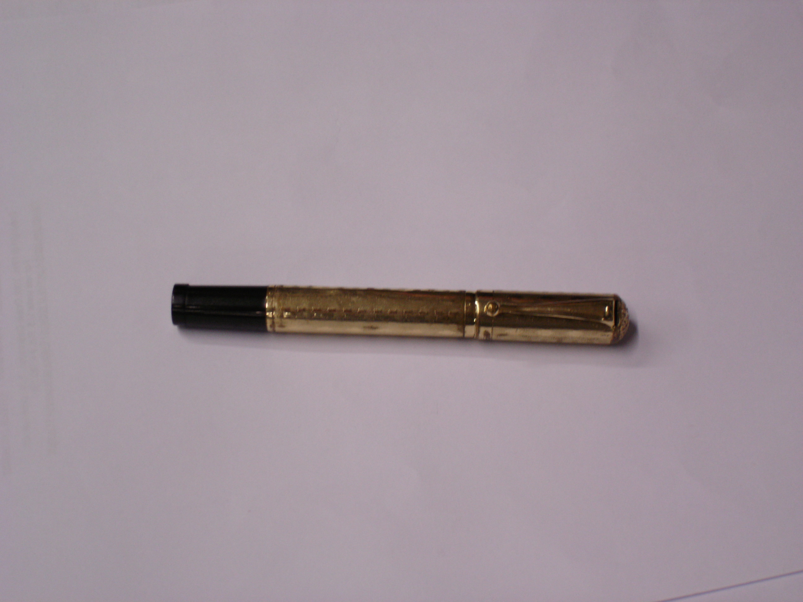 Penna rientrante 2.jpg