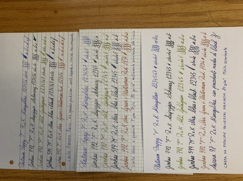 F03E0B10-0685-4C15-97DC-0A7D0F631345.jpeg (366.79 KiB) Visto 1443 volte Prova su carte diverse