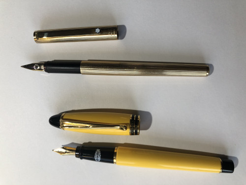 penne da identificare.jpg