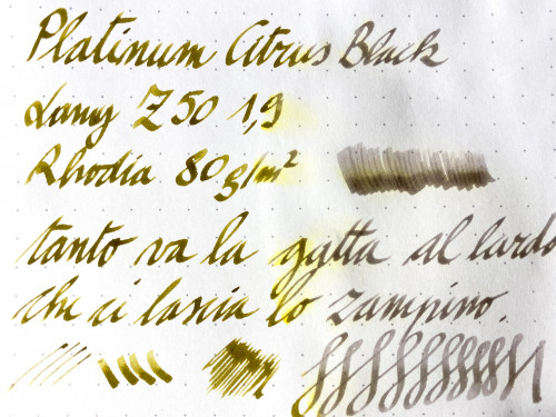 Platinum-citrus-acqua.jpg (755.34 KiB) Visto 2244 volte a destra sotto l'acqua corrente