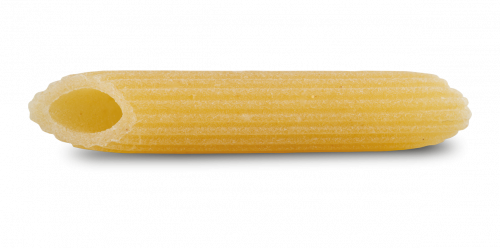 penne-rigate-98-bio-macro.png (394.23 KiB) Visto 3295 volte penna
