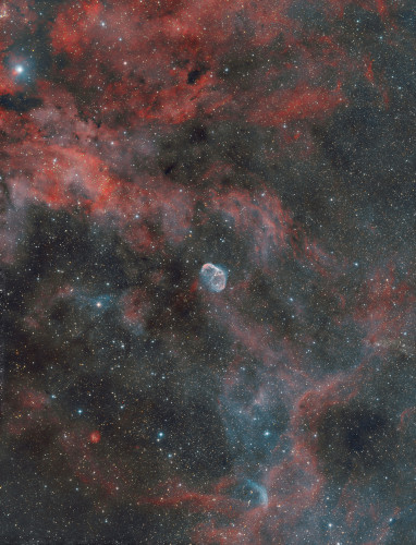 La nebulosa “Crescente”, nel cuore della Costellazione del Cigno. Immagine ripresa a 200mm di focale con sensore monocromatico in 2 notti (una dedicata al filtro “Idrogeno alfa” e una al filtro “Ossigeno terzo” che rigettano il 99% della luce consentendo il passaggio di una precisissima lunghezza d’onda appartenente, appunto, alle fasi di ionizzazione dei due gas. <br />Ogni notte ha prodotto 11 scatti da 1800 secondi che sono stati poi “integrati” (il software processa le 11 versioni dello stesso pixel e produce una media di luminosità, scartando versioni incoerenti e abbattendo il rumore elettronico) e processate assegnando all’idrogeno il canale Rosso e all’ossigeno i canali Verde e Blu (i loro colori naturali sono Rosso e Ciano) per rendere la colorazione più naturale possibile.