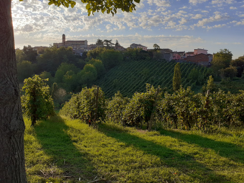 questo è il contesto in collina